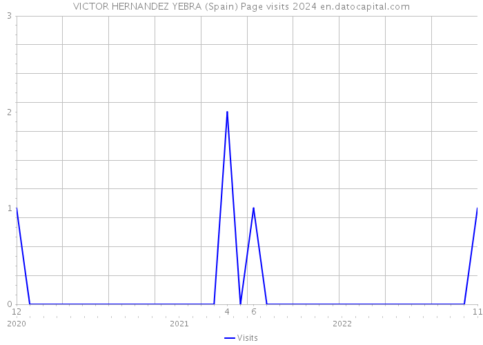 VICTOR HERNANDEZ YEBRA (Spain) Page visits 2024 
