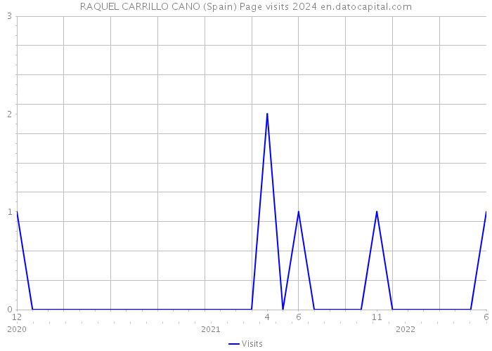 RAQUEL CARRILLO CANO (Spain) Page visits 2024 