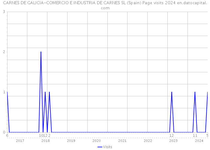 CARNES DE GALICIA-COMERCIO E INDUSTRIA DE CARNES SL (Spain) Page visits 2024 
