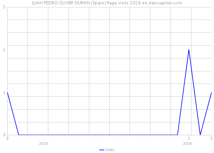 JUAN PEDRO OLIVER DURAN (Spain) Page visits 2024 