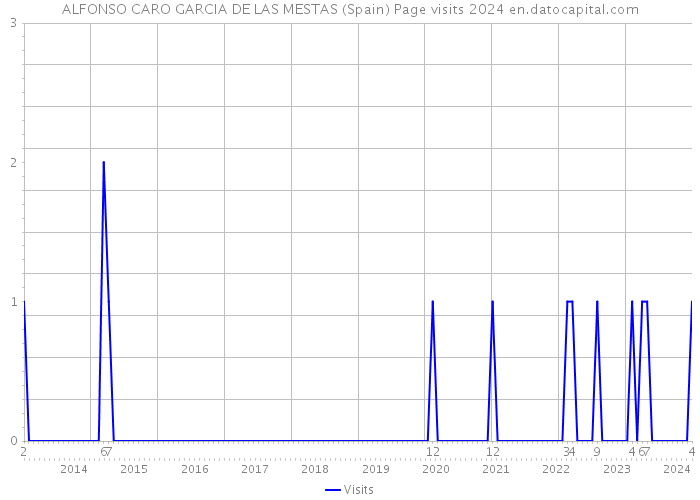 ALFONSO CARO GARCIA DE LAS MESTAS (Spain) Page visits 2024 