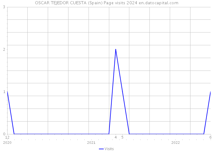 OSCAR TEJEDOR CUESTA (Spain) Page visits 2024 