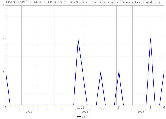 BRANDS SPORTS AND ENTERTAINMENT AGRUPO SL (Spain) Page visits 2024 