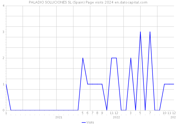 PALADIO SOLUCIONES SL (Spain) Page visits 2024 