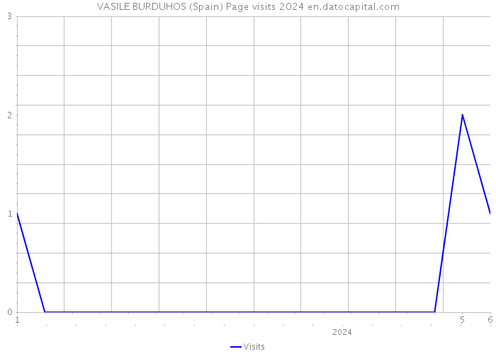 VASILE BURDUHOS (Spain) Page visits 2024 