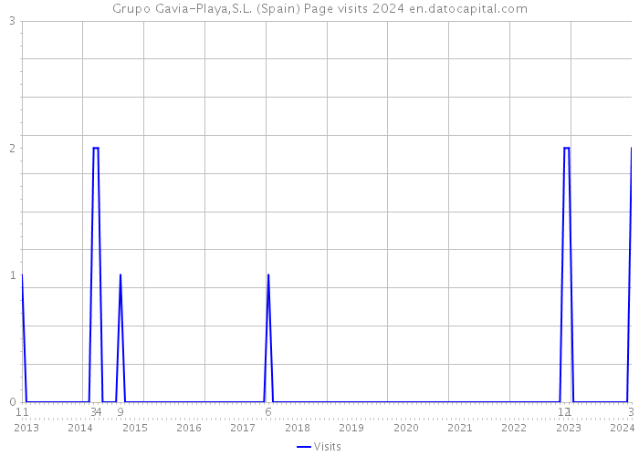 Grupo Gavia-Playa,S.L. (Spain) Page visits 2024 