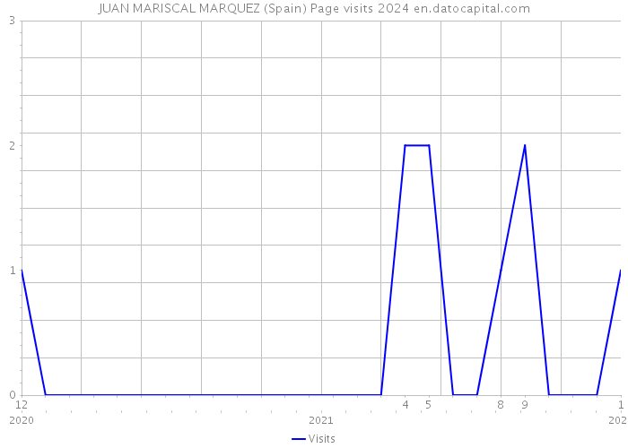 JUAN MARISCAL MARQUEZ (Spain) Page visits 2024 