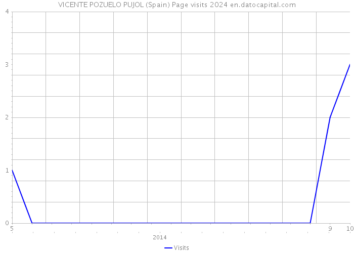 VICENTE POZUELO PUJOL (Spain) Page visits 2024 