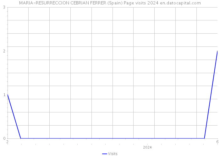 MARIA-RESURRECCION CEBRIAN FERRER (Spain) Page visits 2024 