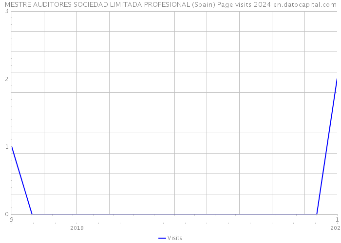 MESTRE AUDITORES SOCIEDAD LIMITADA PROFESIONAL (Spain) Page visits 2024 