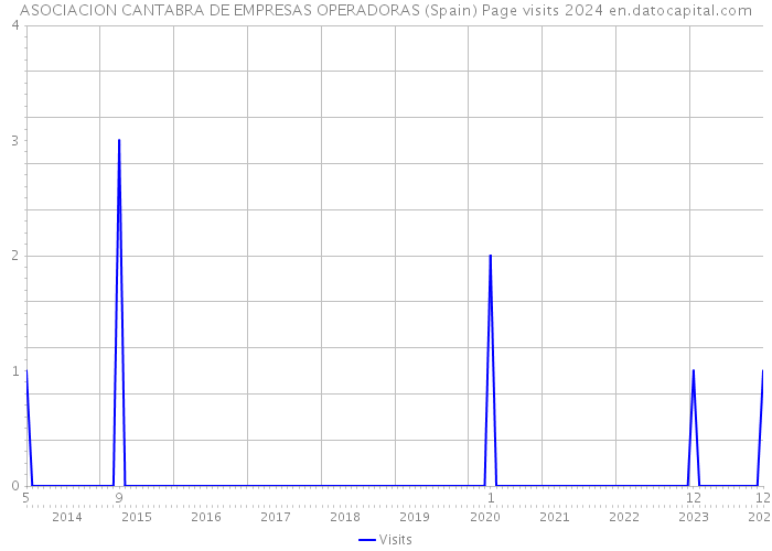 ASOCIACION CANTABRA DE EMPRESAS OPERADORAS (Spain) Page visits 2024 