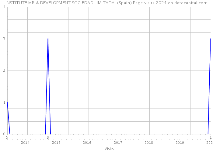 INSTITUTE MR & DEVELOPMENT SOCIEDAD LIMITADA. (Spain) Page visits 2024 