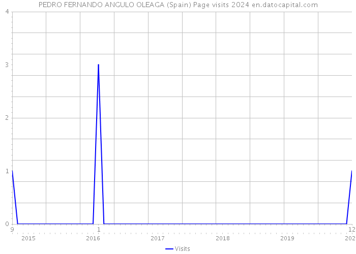 PEDRO FERNANDO ANGULO OLEAGA (Spain) Page visits 2024 