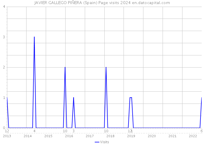 JAVIER GALLEGO PIÑERA (Spain) Page visits 2024 