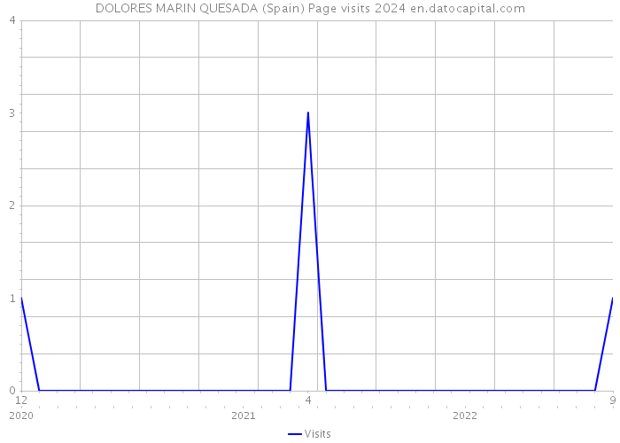 DOLORES MARIN QUESADA (Spain) Page visits 2024 