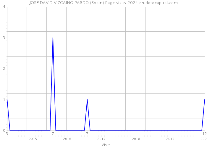 JOSE DAVID VIZCAINO PARDO (Spain) Page visits 2024 