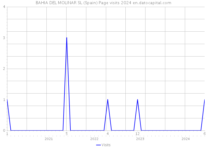 BAHIA DEL MOLINAR SL (Spain) Page visits 2024 