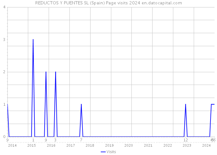 REDUCTOS Y PUENTES SL (Spain) Page visits 2024 