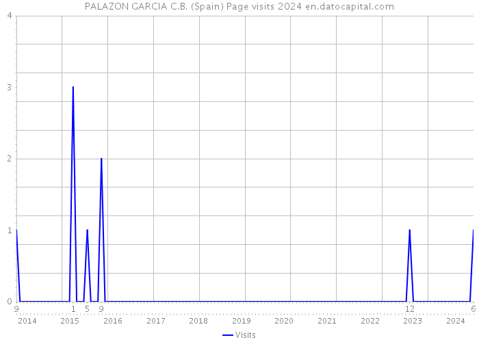 PALAZON GARCIA C.B. (Spain) Page visits 2024 