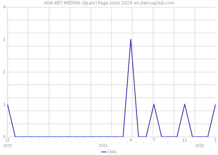 ANA REY MEDINA (Spain) Page visits 2024 