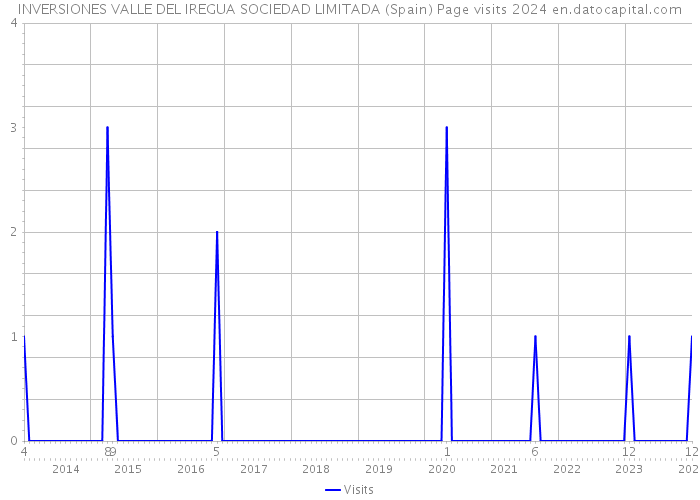 INVERSIONES VALLE DEL IREGUA SOCIEDAD LIMITADA (Spain) Page visits 2024 