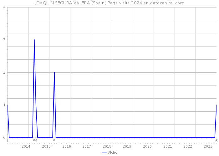 JOAQUIN SEGURA VALERA (Spain) Page visits 2024 