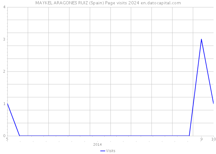 MAYKEL ARAGONES RUIZ (Spain) Page visits 2024 
