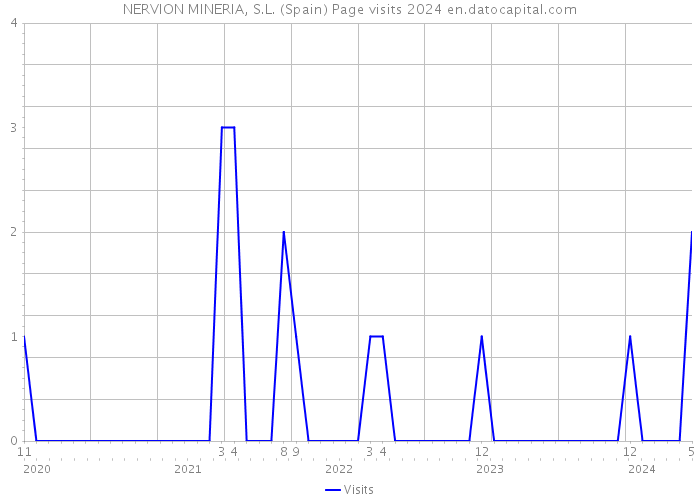 NERVION MINERIA, S.L. (Spain) Page visits 2024 