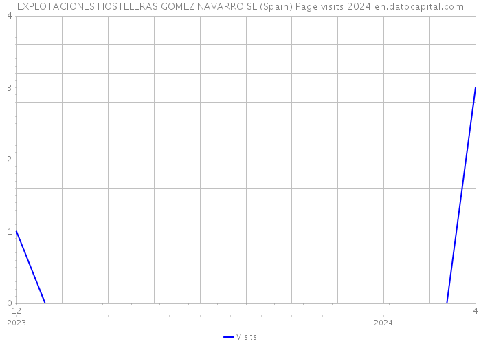 EXPLOTACIONES HOSTELERAS GOMEZ NAVARRO SL (Spain) Page visits 2024 