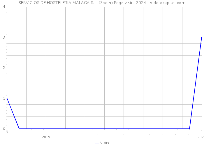 SERVICIOS DE HOSTELERIA MALAGA S.L. (Spain) Page visits 2024 