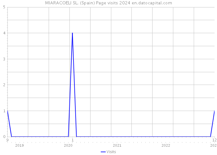 MIARACOELI SL. (Spain) Page visits 2024 