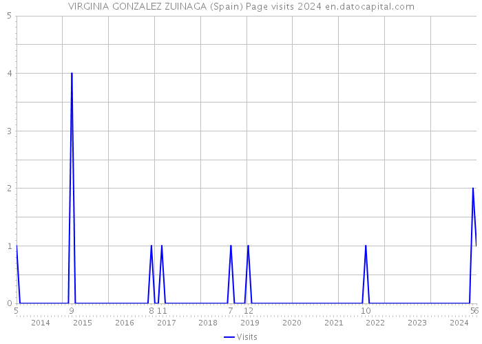 VIRGINIA GONZALEZ ZUINAGA (Spain) Page visits 2024 