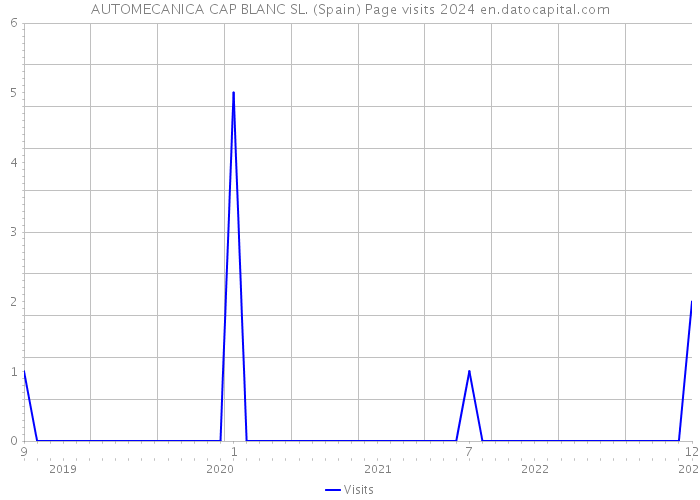 AUTOMECANICA CAP BLANC SL. (Spain) Page visits 2024 