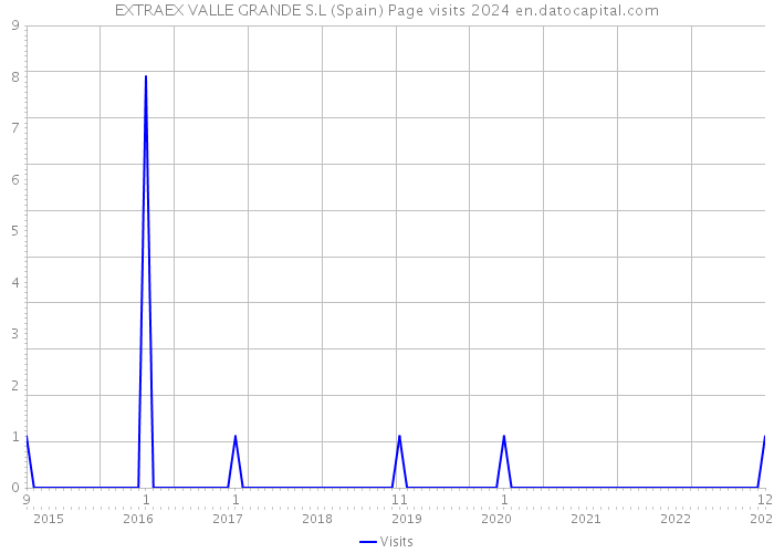 EXTRAEX VALLE GRANDE S.L (Spain) Page visits 2024 