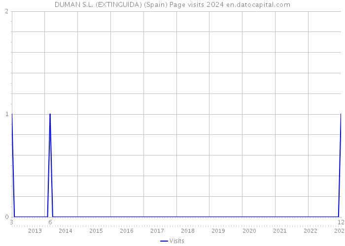 DUMAN S.L. (EXTINGUIDA) (Spain) Page visits 2024 
