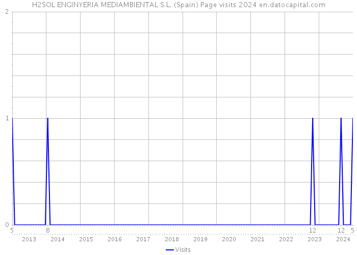 H2SOL ENGINYERIA MEDIAMBIENTAL S.L. (Spain) Page visits 2024 