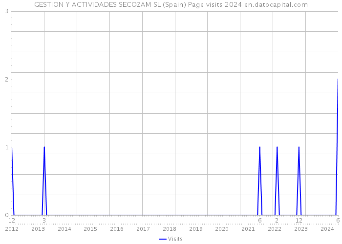 GESTION Y ACTIVIDADES SECOZAM SL (Spain) Page visits 2024 