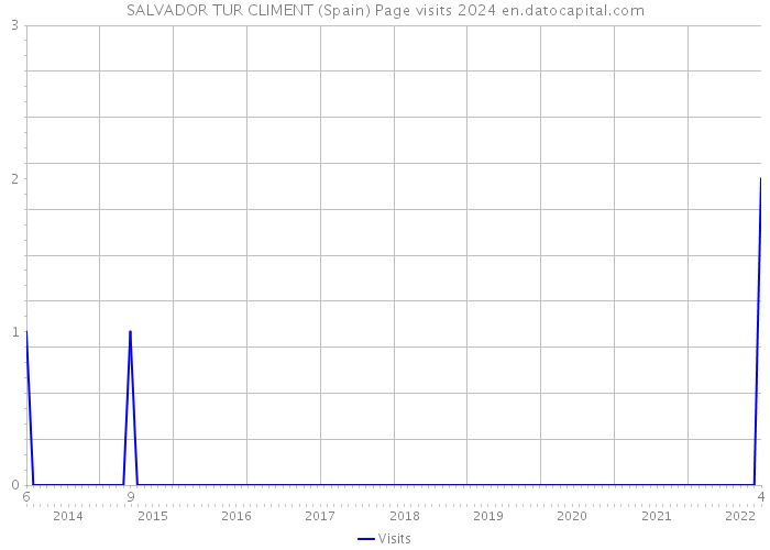 SALVADOR TUR CLIMENT (Spain) Page visits 2024 