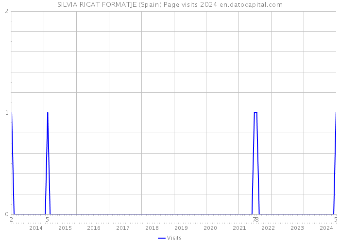 SILVIA RIGAT FORMATJE (Spain) Page visits 2024 