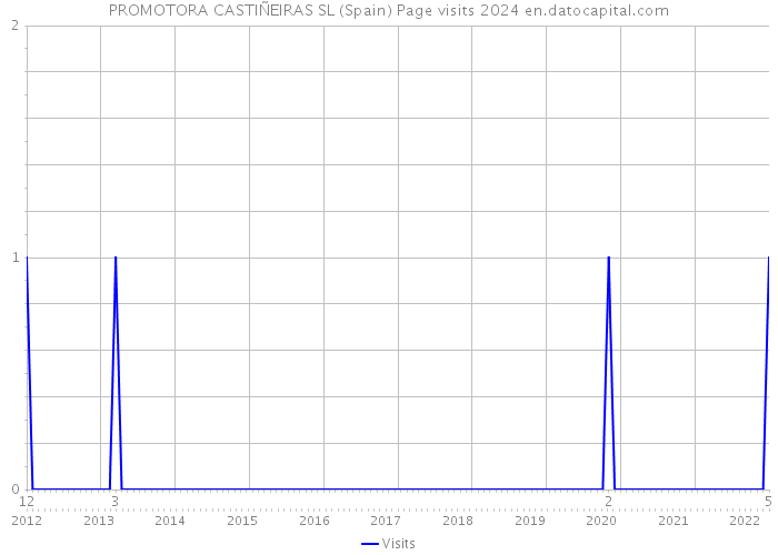 PROMOTORA CASTIÑEIRAS SL (Spain) Page visits 2024 