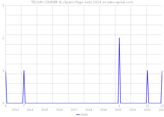 TECAM COURIER SL (Spain) Page visits 2024 