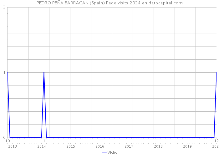 PEDRO PEÑA BARRAGAN (Spain) Page visits 2024 