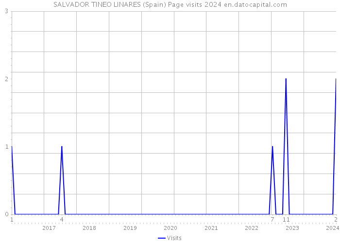 SALVADOR TINEO LINARES (Spain) Page visits 2024 