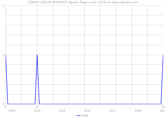 CESAR GARCIA MANGAS (Spain) Page visits 2024 