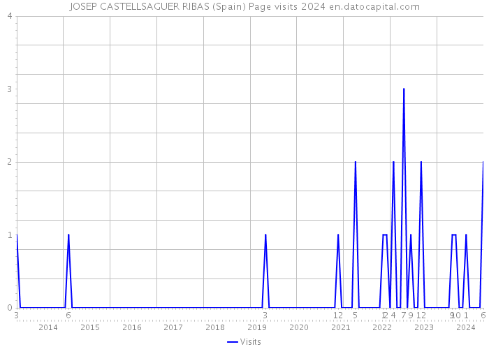 JOSEP CASTELLSAGUER RIBAS (Spain) Page visits 2024 