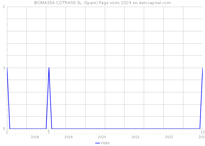 BIOMASSA COTRANS SL. (Spain) Page visits 2024 