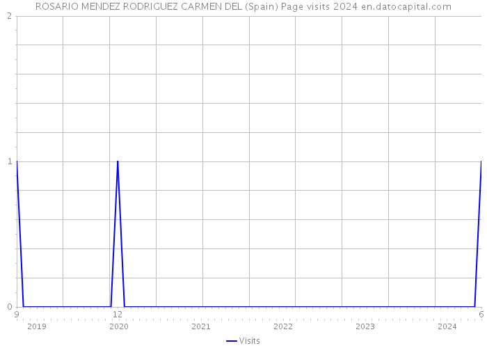 ROSARIO MENDEZ RODRIGUEZ CARMEN DEL (Spain) Page visits 2024 