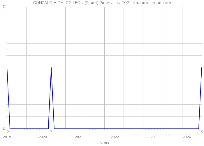 GONZALO HIDALGO LEON (Spain) Page visits 2024 