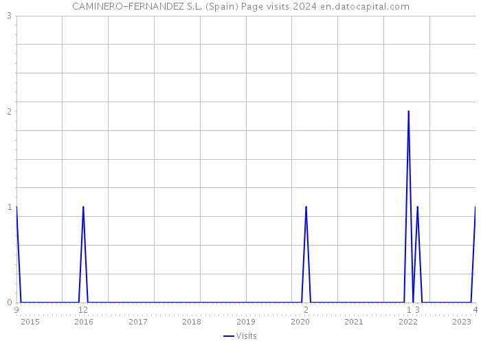 CAMINERO-FERNANDEZ S.L. (Spain) Page visits 2024 