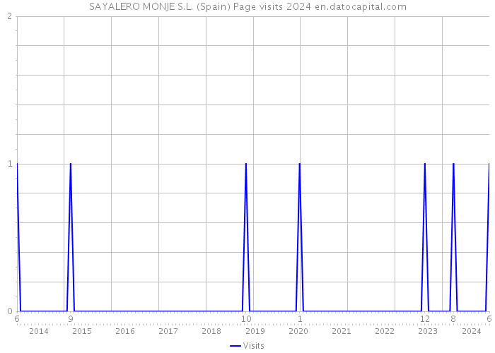 SAYALERO MONJE S.L. (Spain) Page visits 2024 